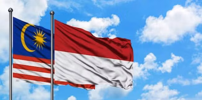 Indonesia y Malasia intensifican cooperación en transporte ảnh 1