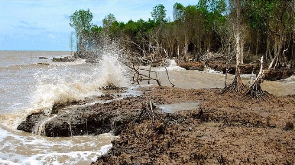 Prevén aumento de intrusión de agua salada en estuarios del Mekong en marzo ảnh 1