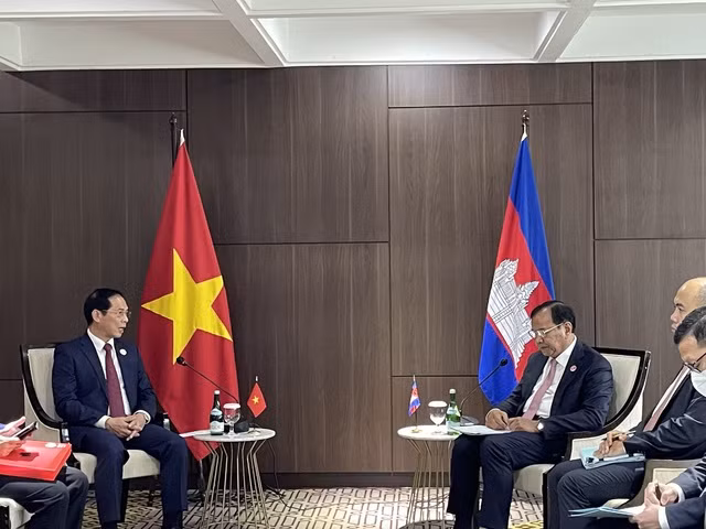 Vietnam patentiza esfuerzos por fomentar lazos con países en región ảnh 1