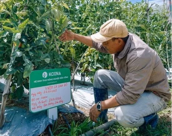 VinaCapital Ventures invierte un millón de dólares en startup de agrotecnología ảnh 1