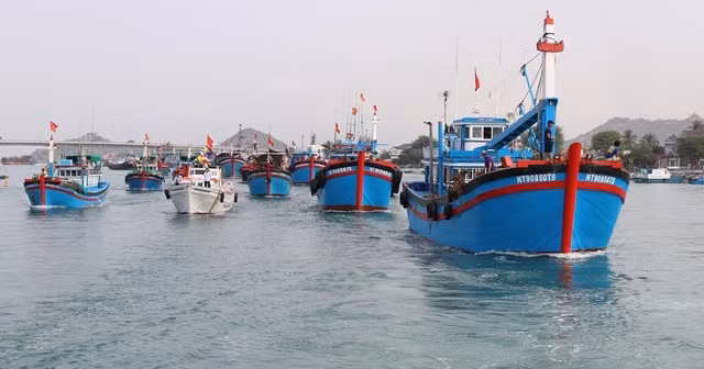 Pescadores vietnamitas se esfuerzan por el levantamiento de “tarjeta amarilla” ảnh 1