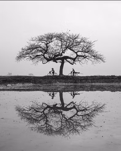 Tran Tuan Viet, el fotógrafo que lleva imágenes de Vietnam al mundo ảnh 2