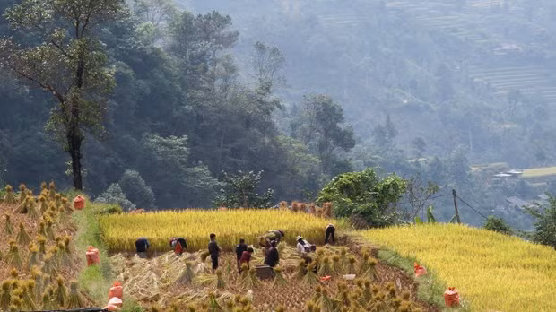 Preservan valores culturales de etnia Co Lao en provincia vietnamita ảnh 1