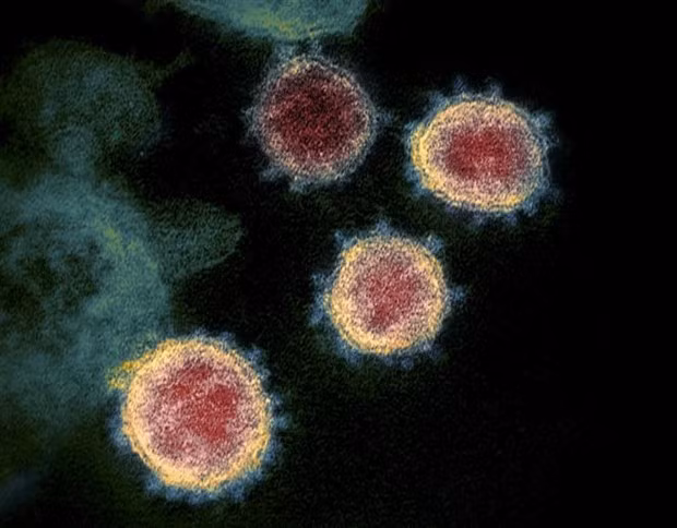 Se registran 65 mil afectados por virus similares al SARS-CoV en Sudeste Asiático ảnh 1