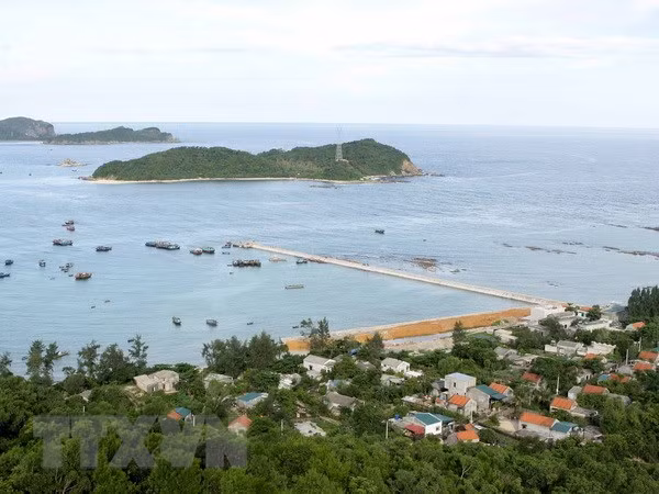 Se desaconsejan los plásticos en la isla Co To ảnh 1