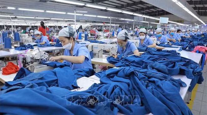 Hanoi goza de crecimiento de 22 por ciento en número de nuevas empresas en primeros ocho meses ảnh 1