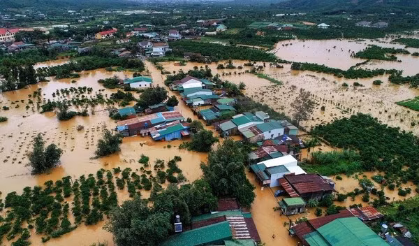  Vietnam promueve cooperación internacional para compromisos climáticos ảnh 1