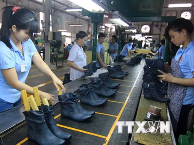 Acuerdo EVFTA impulsa comercio entre Vietnam y Unión Europea ảnh 1