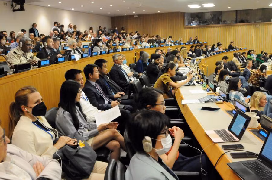 Vietnam aporta a la negociación del tratado sobre biodiversidad de los océanos de ONU ảnh 1