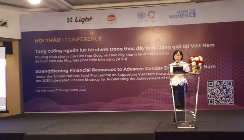Buscan recursos financieros para promover la igualdad de género en Vietnam ảnh 2