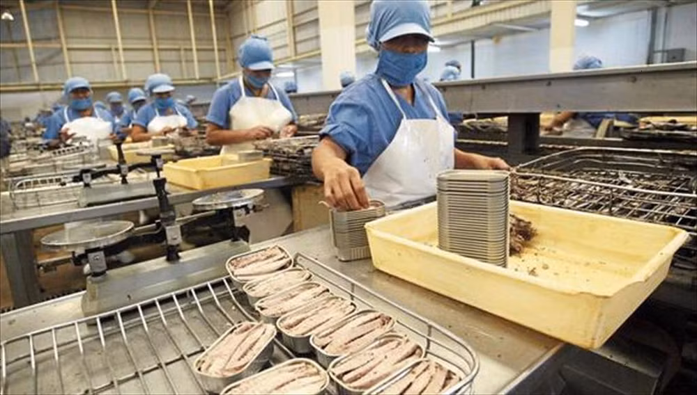 Atún enlatado conquista mercado de Francia ảnh 2