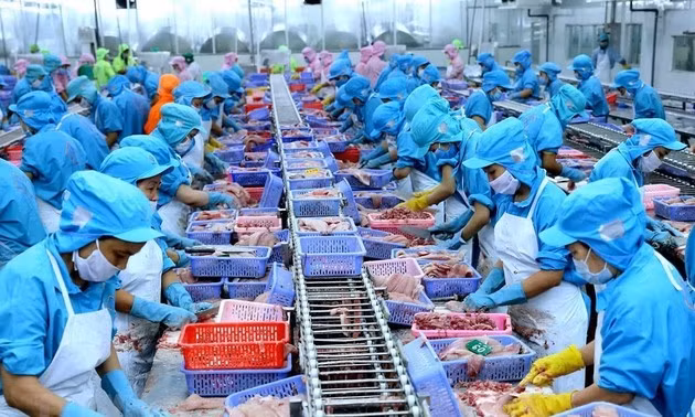 Aumenta valor de exportación de productos agropecuarios de Vietnam ảnh 1