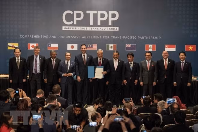 Japón y Chile acordaron impulsar cooperación en despliegue del CPTPP ảnh 1 Japón y Chile acordaron impulsar cooperación en despliegue del CPTPP ảnh 1