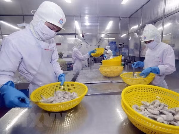 Subida de suministro global afecta a exportaciones de camarones de Vietnam ảnh 1