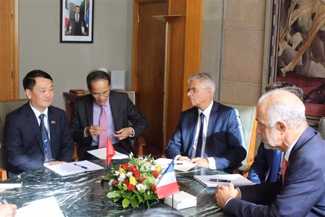 Vietnam y Francia fortalecen cooperación en sector ambiental ảnh 1