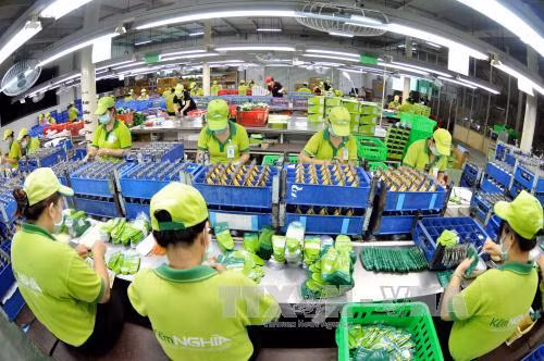 Vietnam ingresa monto multimillonario por exportaciones en ocho meses ảnh 1