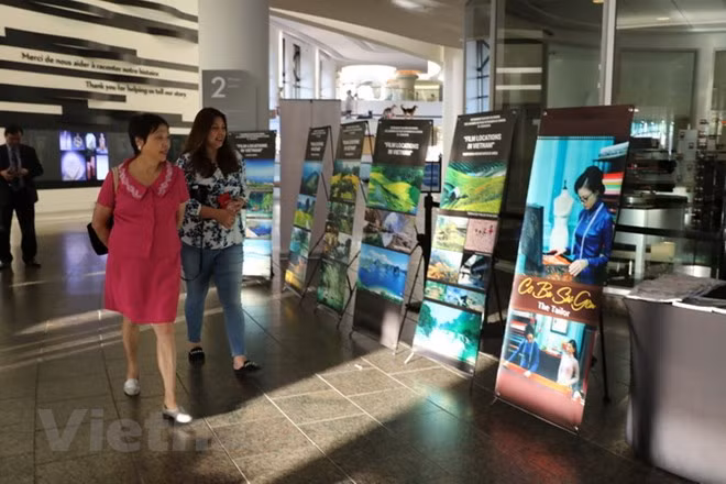 Proyectan películas vietnamitas en Canadá ảnh 1