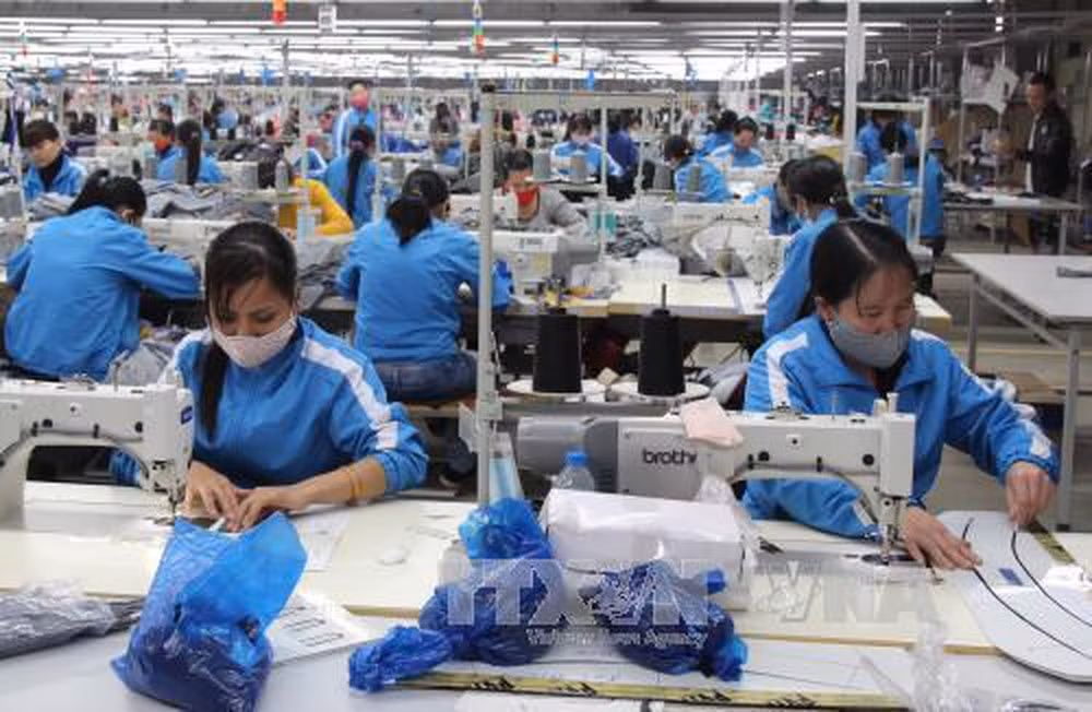 Confecciones textiles de Vietnam se encaminan a dominar el mercado surcoreano ảnh 1