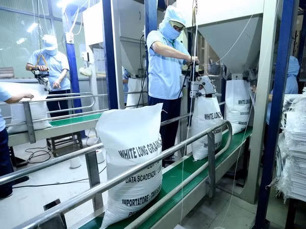 Vietnam exporta casi cinco millones de toneladas de arroz en ocho meses ảnh 1