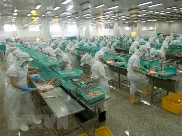 Estados Unidos reduce el impuesto antidumping al camarón vietnamita ảnh 1