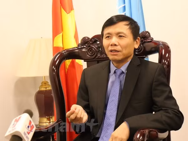Vietnam es un miembro activo y responsable de las Naciones Unidas, sostiene embajador ảnh 1