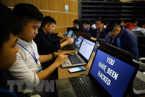 Más de 70 por ciento de computadoras y equipos móviles en Vietnam afectados por códigos maliciosos ảnh 1 Más de 70 por ciento de computadoras y equipos móviles en Vietnam afectados por códigos maliciosos ảnh 1