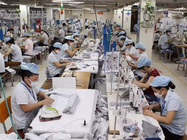 Exportaciones textiles de Vietnam podrían superar los mil millones de dólares este año ảnh 1