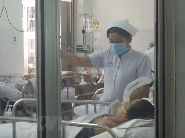 Vietnam dispuesto a producir dos tipos de vacunas antigripales ảnh 1