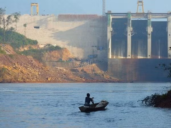 Vidas silvestres en subregión de Mekong enfrentan riesgos de disminución ảnh 1