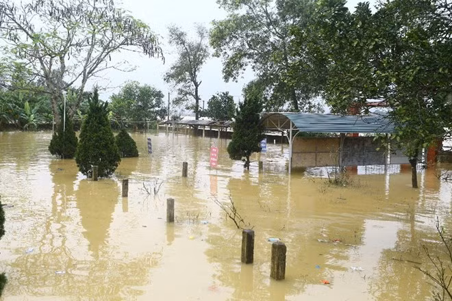 Inundaciones provocan 15 muertos en Vietnam ảnh 1