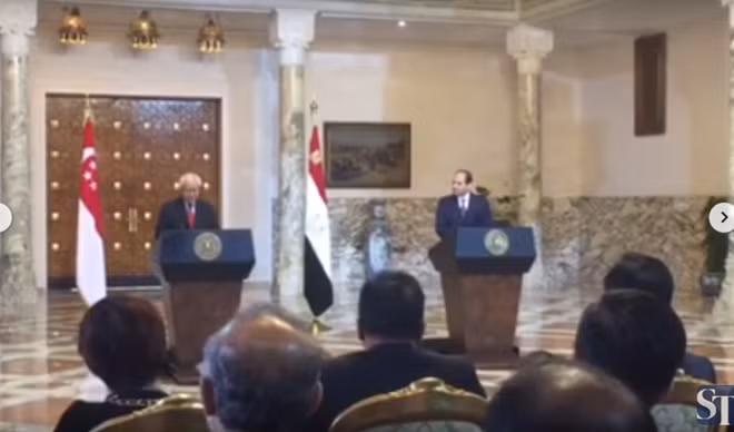 Singapur y Egipto impulsan cooperación comercial ảnh 1