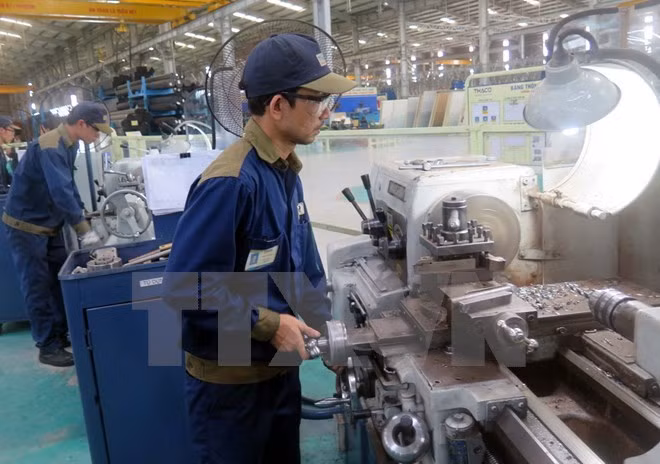 Vietnam y países nórdicos observan vínculos comerciales ảnh 1
