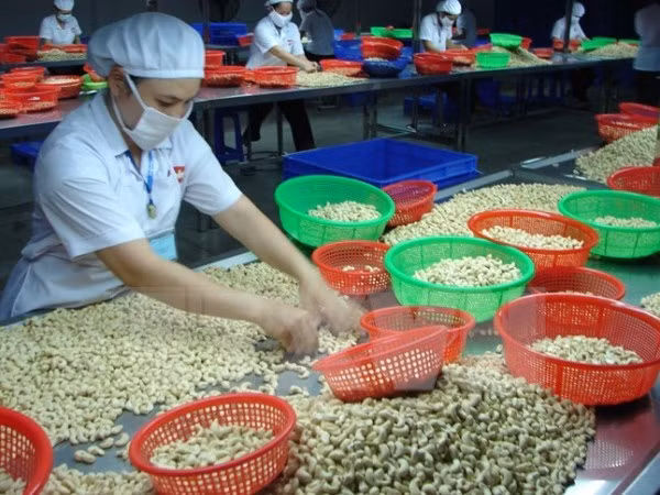 Reporta Vietnam déficit en balanza comercial ảnh 1 Reporta Vietnam déficit en balanza comercial ảnh 1