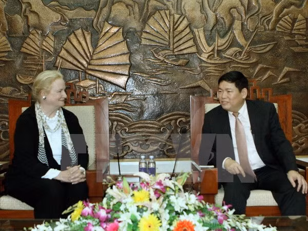 Pocos conflictos religiosos en Vietnam, valora comisionada de EE.UU. ảnh 1