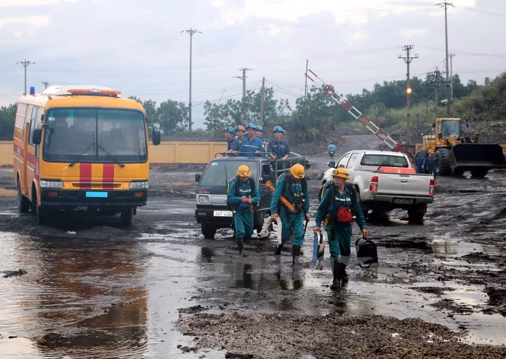 Dirigente parlamentario visita víctimas de accidente de mina de carbón ảnh 2