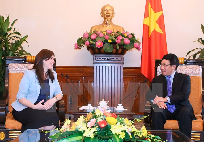 Promueven Vietnam e Israel cooperación multifacética ảnh 1