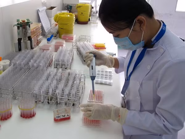Conmemoran dos décadas del primer trasplante de células madre ảnh 1