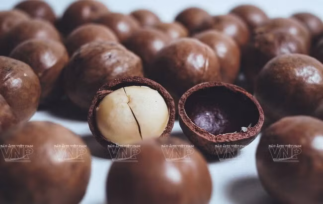 Devino cultivo de Macadamia en sector potencial de Vietnam ảnh 5