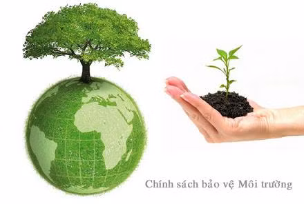 Seminario sobre cumplimiento de compromisos ambientales en TPP ảnh 1