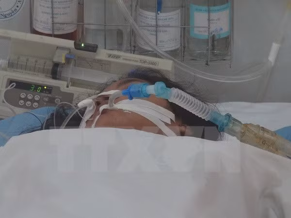 Malasia y Tailandia ensayan contra gripe aviar ảnh 1 Malasia y Tailandia ensayan contra gripe aviar ảnh 1