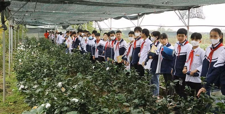 Promueven agroturismo en localidades del delta del río Rojo ảnh 2