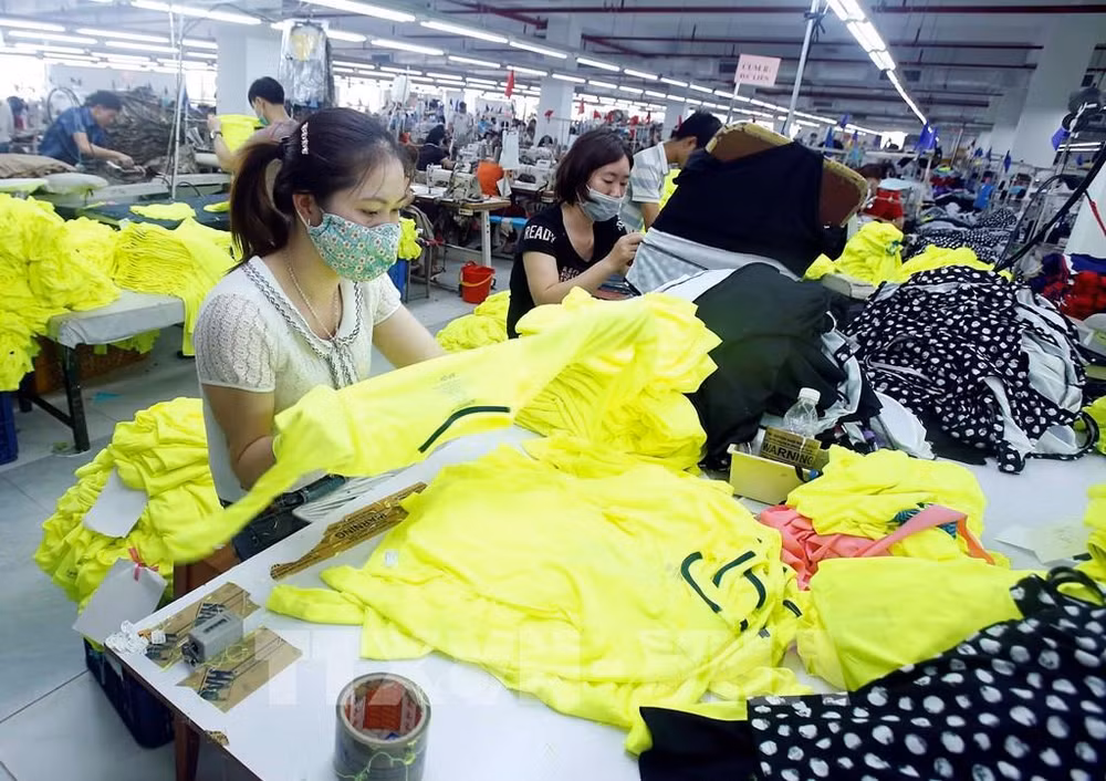 Área Continental Africana de Libre Comercio y oportunidades para Vietnam ảnh 2 Área Continental Africana de Libre Comercio y oportunidades para Vietnam ảnh 2