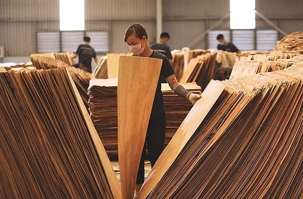 EE.UU extiende plazo de emitir conclusión sobre madera contrachapada vietnamita ảnh 1