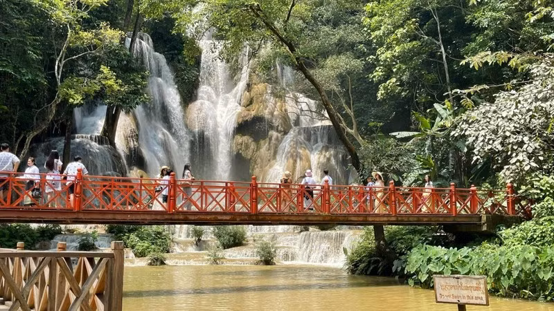 Laos da bienvenida a más de 800 mil visitantes extranjeros en el primer trimestre ảnh 1