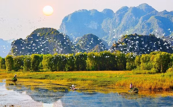 Vietnam se esfuerza por conservación y uso sostenible de los humedales ảnh 1