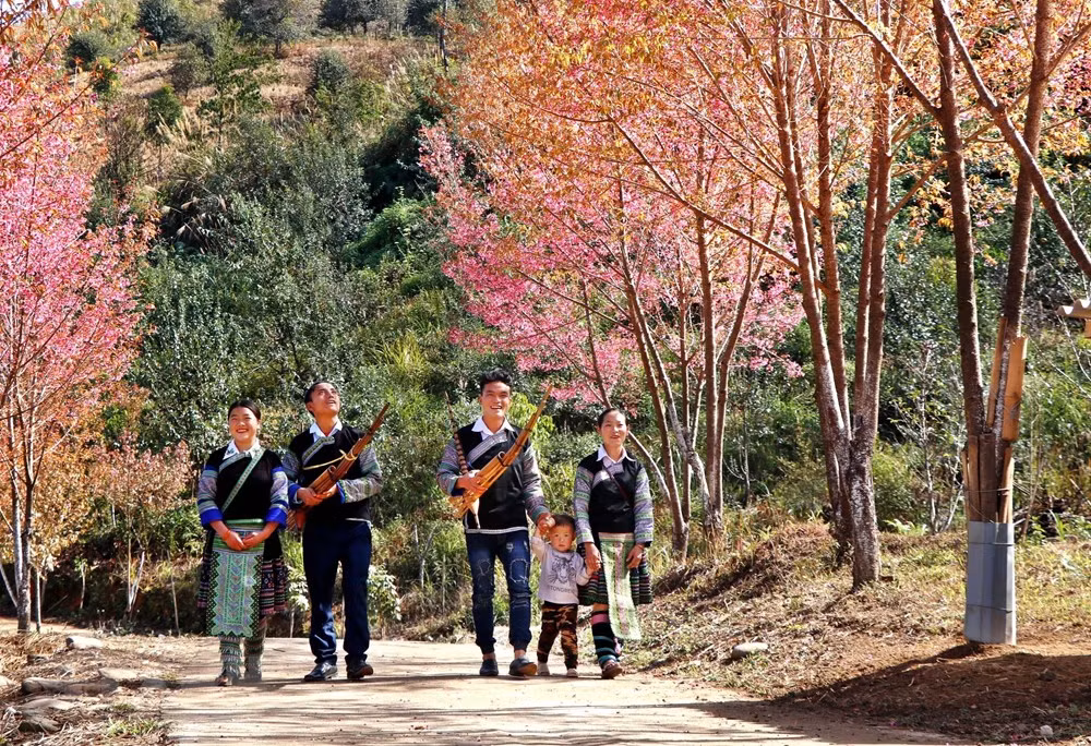 [Foto] Belleza de Mu Cang Chai en la primavera ảnh 4
