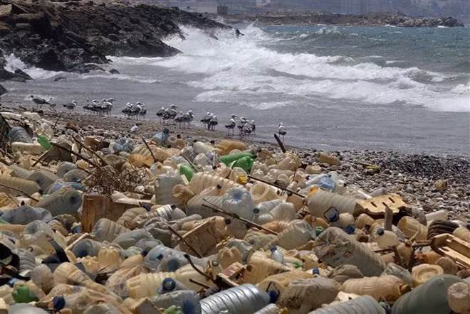 Desechan en Vietnam 150 mil toneladas de cartones cada año ảnh 1