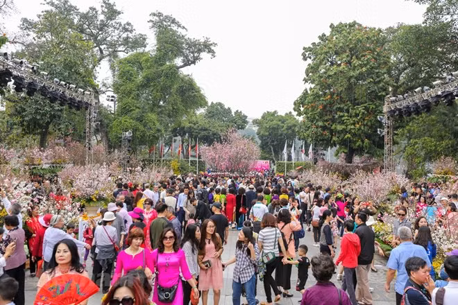 Buscan embajadora de buena voluntad en festival de flor de cerezo Japón-Hanoi 2019 ảnh 1