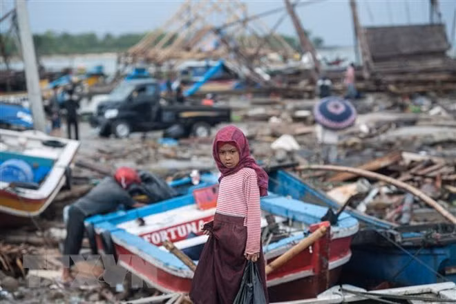 Nueva Zelanda ayuda a Indonesia en la superación de consecuencias de tsunami ảnh 1