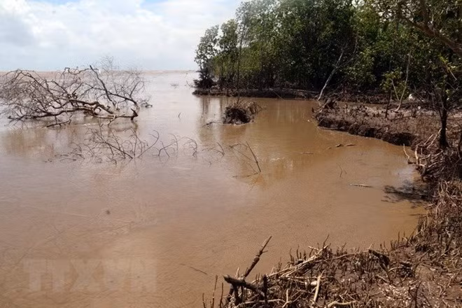 Celebrará Vietnam Foro sobre Desarrollo Sostenible del Delta del Mekong ảnh 1